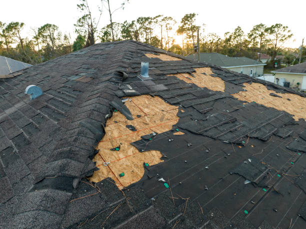 Best Asphalt Shingle Roofing  in Springs, NY